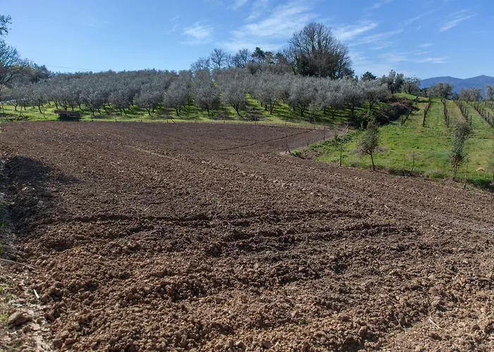 Locanda Agricola Posapiano