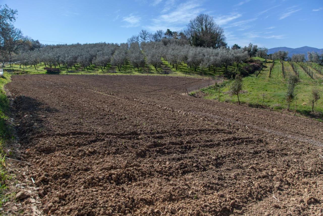 Agricola Posapiano * Montecarlo