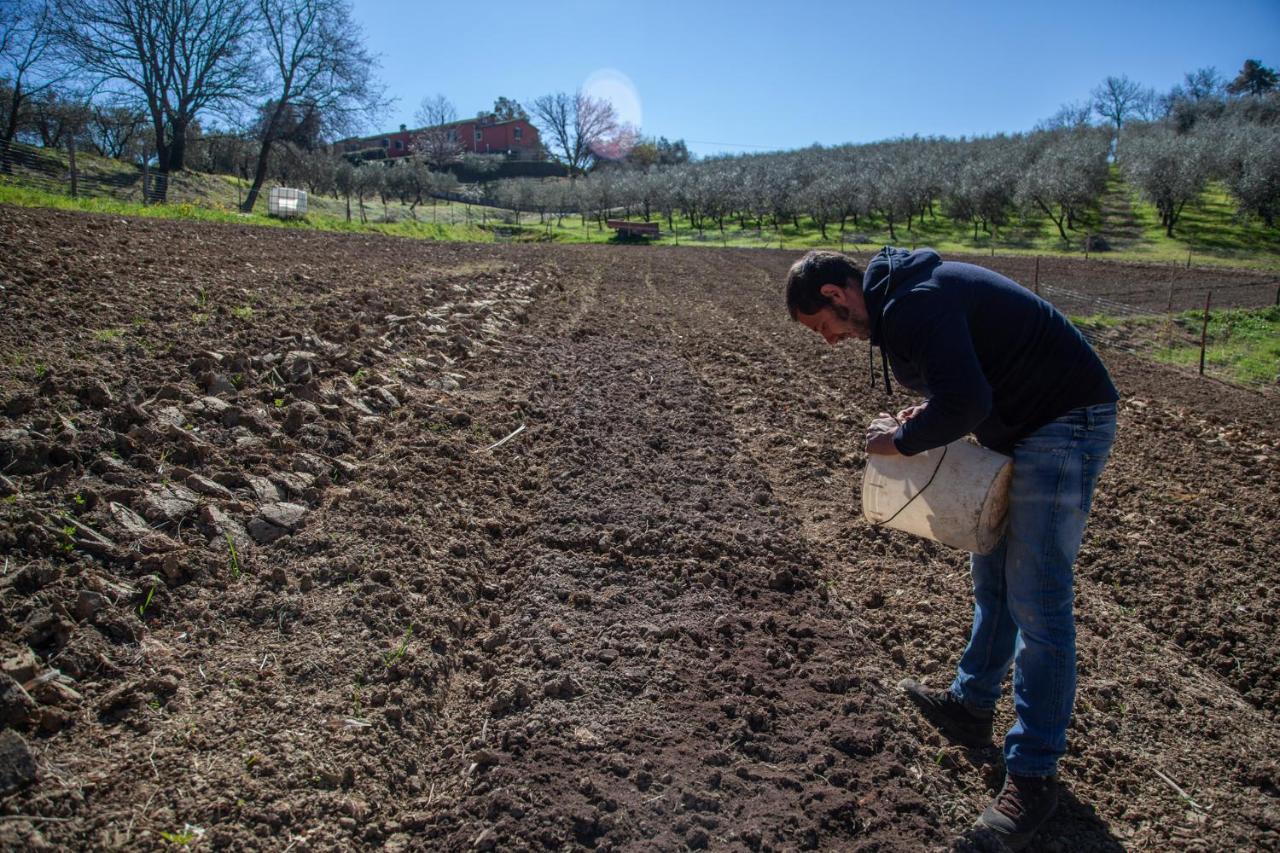 Agricola Posapiano * Montecarlo