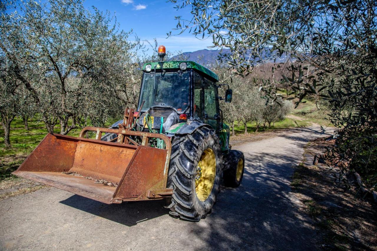 Agricola Posapiano *