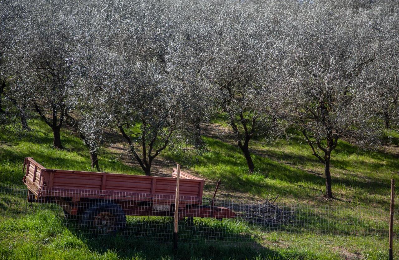 Agricola Posapiano * Montecarlo