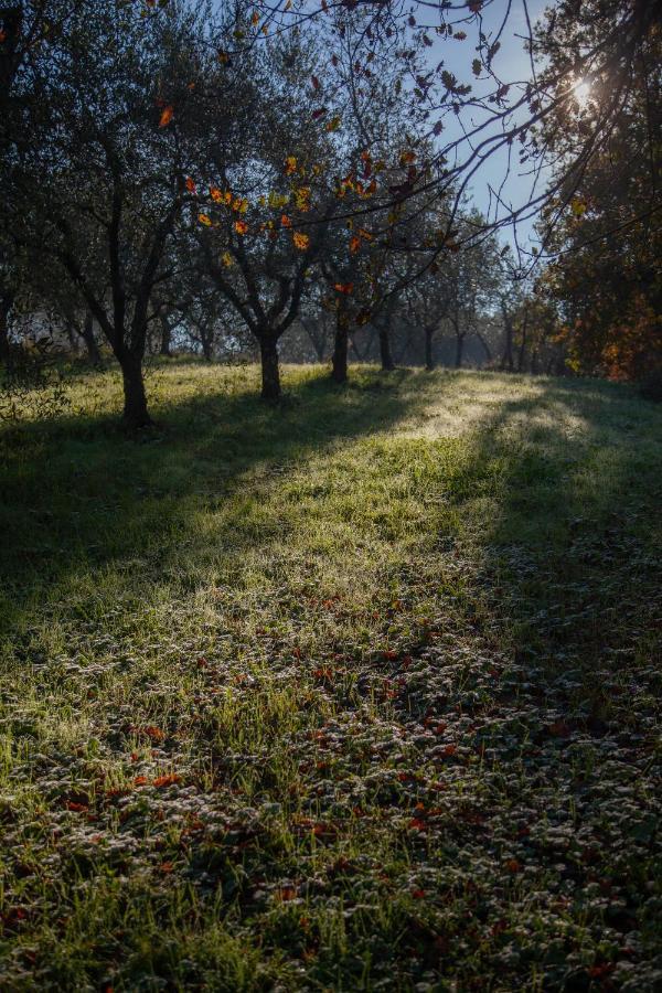 Vakantieboerderij Agricola Posapiano